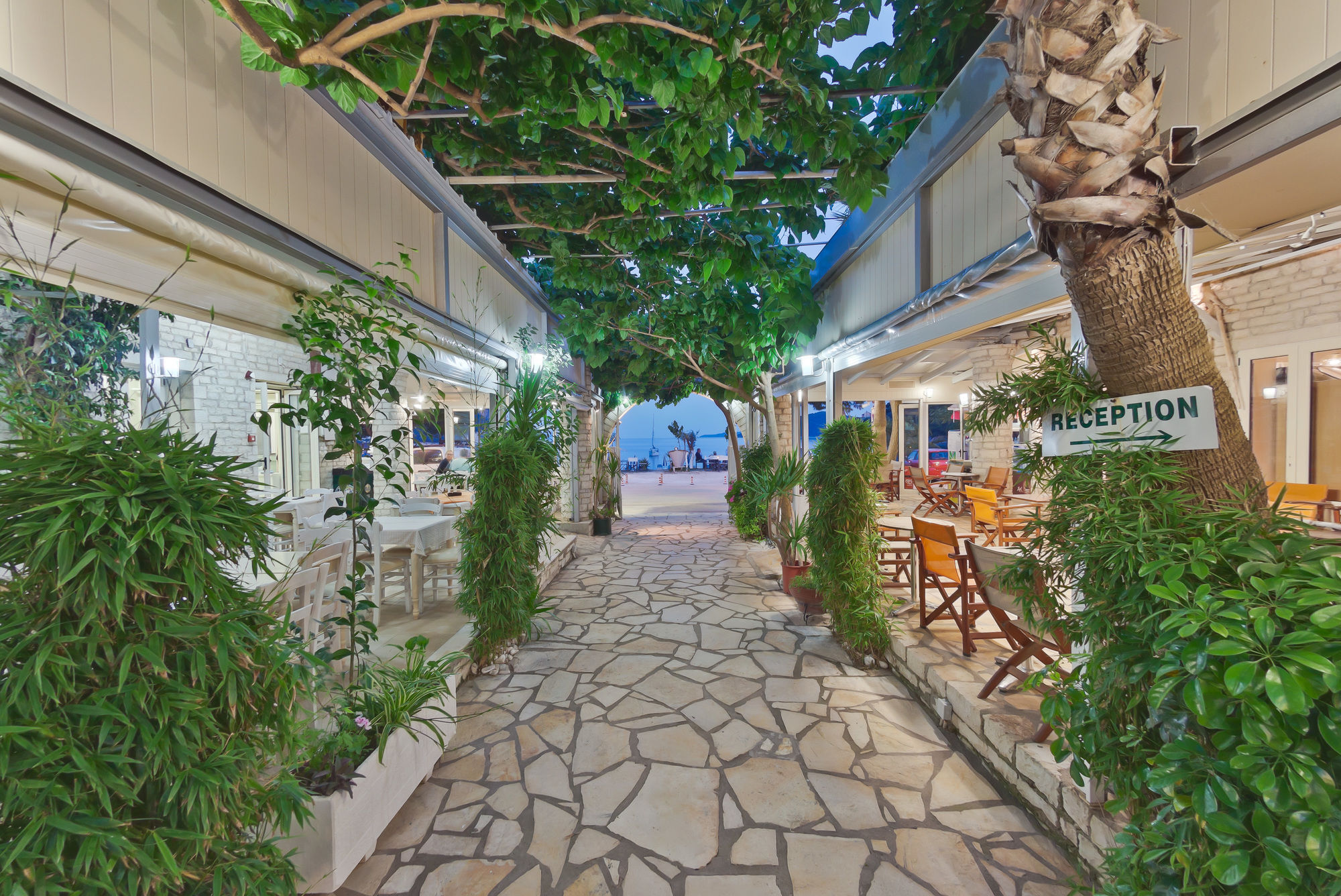 מיקרוס גיאלוס Rouda Bay Beach Hotel מראה חיצוני תמונה