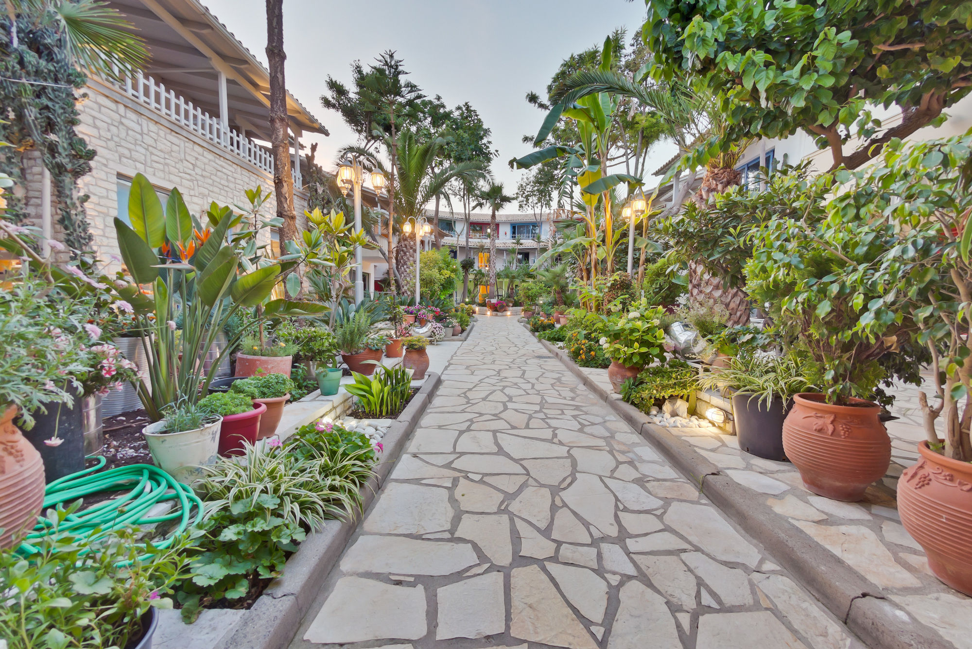 מיקרוס גיאלוס Rouda Bay Beach Hotel מראה חיצוני תמונה